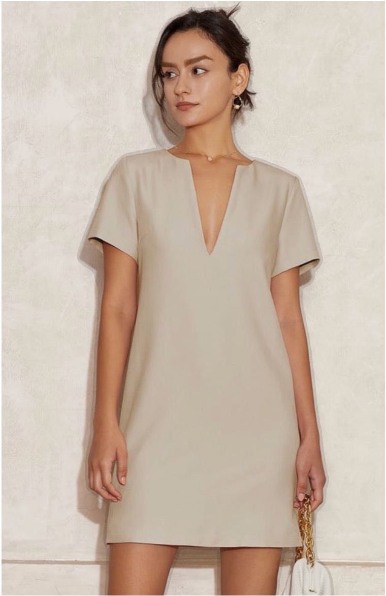 Vanessa V-Neck Solid Tunic Mini Dress