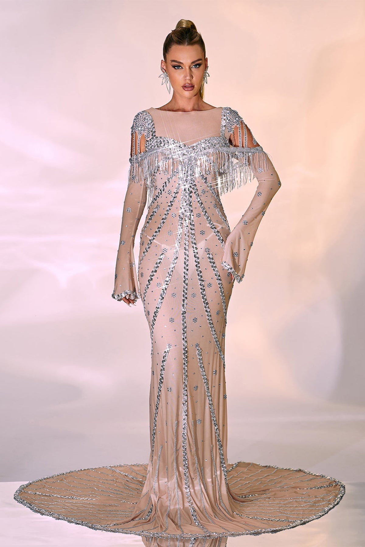 Reagan Long Sleeve Sequin Mesh Maxi Dress